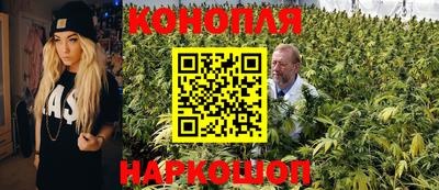 прущие грибы Севастополь