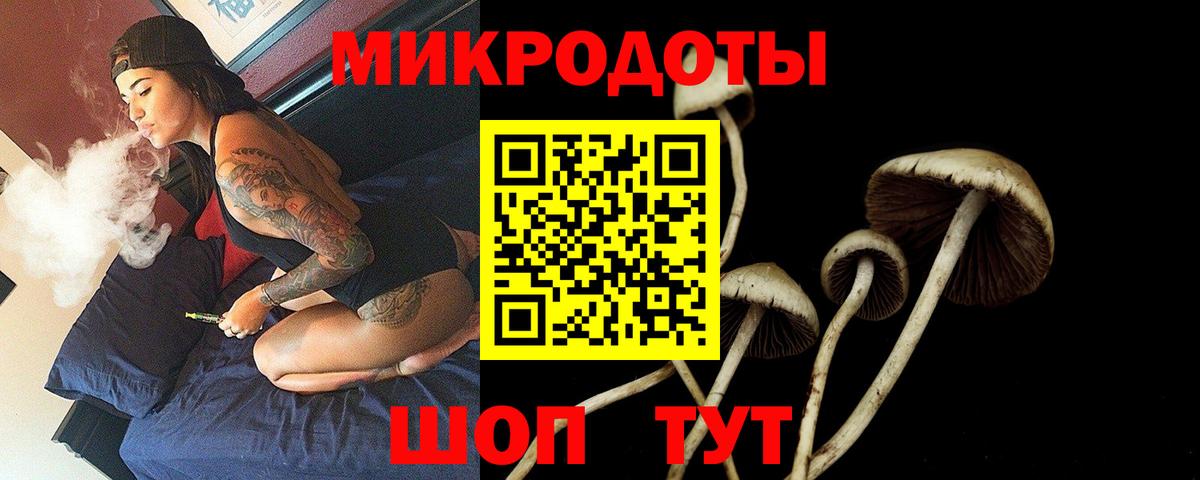 Галлюциногенные грибы мицелий Курганинск